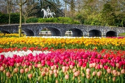 Keukenhof virágpark