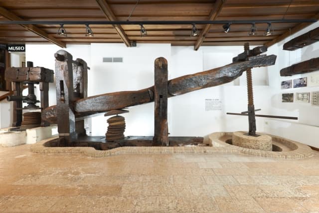 Bardolino Olivamúzeum látogatás kóstolóval
