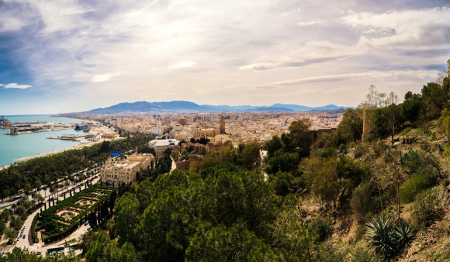 Olívaszüret Andalúziában
