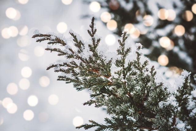 Tengerparti csillogás - Advent az Isztrián