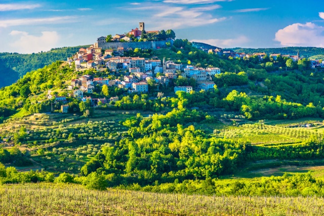 Motovun kisbusz